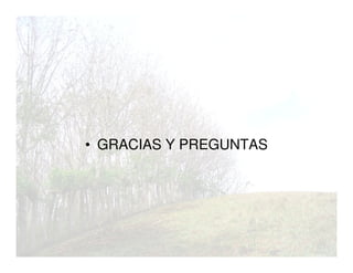 • GRACIAS Y PREGUNTAS
 