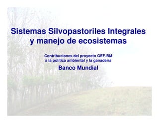 Sistemas Silvopastoriles Integrales
y manejo de ecosistemas
Contribuciones del proyecto GEF-BM
a la política ambiental y la ganadería
Banco Mundial
 