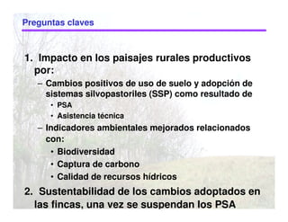 Preguntas claves
1. Impacto en los paisajes rurales productivos
por:
– Cambios positivos de uso de suelo y adopción de
sistemas silvopastoriles (SSP) como resultado de
• PSA
• Asistencia técnica
– Indicadores ambientales mejorados relacionados
con:
• Biodiversidad
• Captura de carbono
• Calidad de recursos hídricos
2. Sustentabilidad de los cambios adoptados en
las fincas, una vez se suspendan los PSA
 