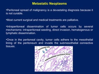 Metastatic Neoplasms
•Peritoneal spread of malignancy is a devastating diagnosis because it
is not curable.
•Most current surgical and medical treatments are palliative.
•Intraperitoneal dissemination of tumor cells occurs by several
mechanisms: intraperitoneal seeding, direct invasion, hematogenous or
lymphatic dissemination.
•Once in the peritoneal cavity, tumor cells adhere to the mesothelial
lining of the peritoneum and invade the submesothelial connective
tissues.
 