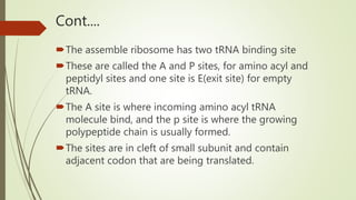 Cont....
The assemble ribosome has two tRNA binding site
These are called the A and P sites, for amino acyl and
peptidyl sites and one site is E(exit site) for empty
tRNA.
The A site is where incoming amino acyl tRNA
molecule bind, and the p site is where the growing
polypeptide chain is usually formed.
The sites are in cleft of small subunit and contain
adjacent codon that are being translated.
 