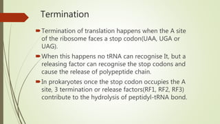 Termination
Termination of translation happens when the A site
of the ribosome faces a stop codon(UAA, UGA or
UAG).
When this happens no tRNA can recognise It, but a
releasing factor can recognise the stop codons and
cause the release of polypeptide chain.
In prokaryotes once the stop codon occupies the A
site, 3 termination or release factors(RF1, RF2, RF3)
contribute to the hydrolysis of peptidyl-tRNA bond.
 