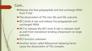 Cont...
Release the free polypeptide and lost uncharge tRNA
from P site.
The dissociation of 70s into 30s and 50s subunits.
RF1 binds A site and release the polypeptide and
uncharged tRNA.
RF2 to releases the RF1 from A site in releases itself
as well from translation binding site(present on large
subunit).
RF3 function unknown.
Another factor called Ribosomal releasing factor
cause the dissociation of 70s complex.
 