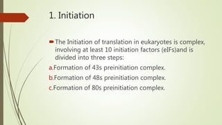 1. Initiation
The Initiation of translation in eukaryotes is complex,
involving at least 10 initiation factors (eIFs)and is
divided into three steps:
a.Formation of 43s preinitiation complex.
b.Formation of 48s preinitiation complex.
c.Formation of 80s preinitiation complex.
 