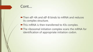 Cont....
Then eIF-4A and eIF-B binds to mRNA and reduces
its complex structure.
This mRNA is then transferred to 43s complex.
The ribosomal initiation complex scans the mRNA for
identification of appropriate initiation codon.
 