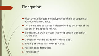 Elongation
 Ribosomes ellongate the polypeptide chain by sequential
addition of amino acids.
 The amino acid sequence is determined by the order of the
codons in the specific mRNA.
 Elongation, a cyclic process involving certain elongation
factors(Efs).
 Elongation may be divided into three steps.
a. Binding of aminoacyl-tRNA to A site.
b. Peptide bond formation.
c. Translocation
 
