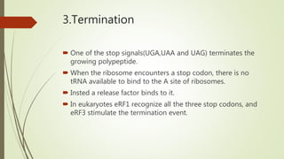 3.Termination
 One of the stop signals(UGA,UAA and UAG) terminates the
growing polypeptide.
 When the ribosome encounters a stop codon, there is no
tRNA available to bind to the A site of ribosomes.
 Insted a release factor binds to it.
 In eukaryotes eRF1 recognize all the three stop codons, and
eRF3 stimulate the termination event.
 