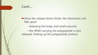 Cont....
Once the release factor binds, the ribosomes unit
falls apart
--releasing the large and small subunits
--the tRNA carrying the polypeptide is also
released, freeing up the polypeptide product.
 