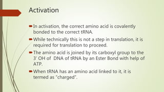 Activation
In activation, the correct amino acid is covalently
bonded to the correct tRNA.
While technically this is not a step in translation, it is
required for translation to proceed.
The amino acid is joined by its carboxyl group to the
3’ OH of DNA of tRNA by an Ester Bond with help of
ATP.
When tRNA has an amino acid linked to it, it is
termed as “charged”.
 