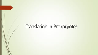 Translation in Prokaryotes
 