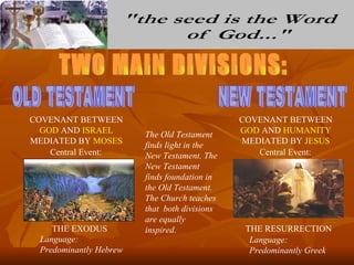 COVENANT BETWEEN                              COVENANT BETWEEN
  GOD AND ISRAEL        The Old Testament     GOD AND HUMANITY
MEDIATED BY MOSES       finds light in the    MEDIATED BY JESUS
    Central Event:      New Testament. The       Central Event:
                        New Testament
                        finds foundation in
                        the Old Testament.
                        The Church teaches
                        that both divisions
                        are equally
    THE EXODUS          inspired.              THE RESURRECTION
 Language:                                      Language:
 Predominantly Hebrew                           Predominantly Greek
 