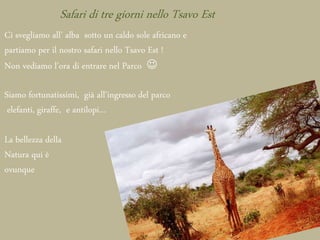 Safari di tre giorni nello Tsavo Est
Ci svegliamo all’ alba sotto un caldo sole africano e
partiamo per il nostro safari nello Tsavo Est !
Non vediamo l’ora di entrare nel Parco 
Siamo fortunatissimi, già all’ingresso del parco
elefanti, giraffe, e antilopi…
La bellezza della
Natura qui è
ovunque
 