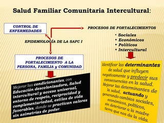 3
Salud Familiar Comunitaria Intercultural:
PROCESOS DE FORTALECIMIENTOS
• Sociales
• Económicos
• Políticos
• Intercultural
EPIDEMIOLOGÍA DE LA SAFC I
PROCESOS DE
FORTALECIMIENTO A LA
PERSONA, FAMILIA y COMUNIDAD
CONTROL DE
ENFERMEDADES
 