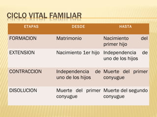 ETAPAS DESDE HASTA
FORMACION Matrimonio Nacimiento del
primer hijo
EXTENSION Nacimiento 1er hijo Independencia de
uno de los hijos
CONTRACCION Independencia de
uno de los hijos
Muerte del primer
conyugue
DISOLUCION Muerte del primer
conyugue
Muerte del segundo
conyugue
 