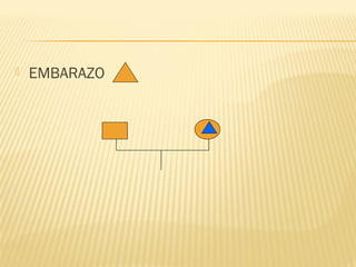  EMBARAZO
 