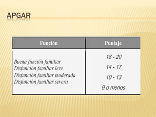2 safci