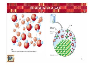 EL AGUA Y LA SAL




                   5
 