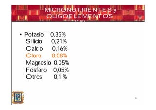 MICRONUTRIENTES y
        OLIGOELEMENTOS
               (1 %)

• Potasio 0,35%
  Silicio 0,21%
  Calcio   0,16%
  Cloro   0,08%
  Magnesio 0,05%
  Fósforo 0,05%
  Otros    0,1 %


                            6
 