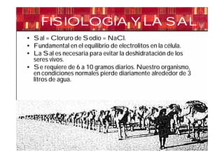 FISIOLOGÍA Y LA SAL
• Sal = Cloruro de Sodio = NaCl.
• Fundamental en el equilibrio de electrolitos en la célula.
• La Sal es necesaria para evitar la deshidratación de los
  seres vivos.
• Se requiere de 6 a 10 gramos diarios. Nuestro organismo,
  en condiciones normales pierde diariamente alrededor de 3
  litros de agua.




                                                               8
 