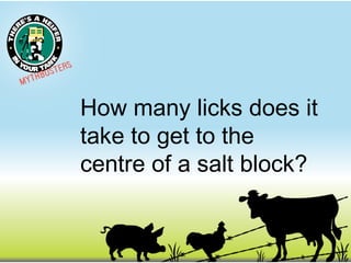 How many licks does it
take to get to the
centre of a salt block?

 