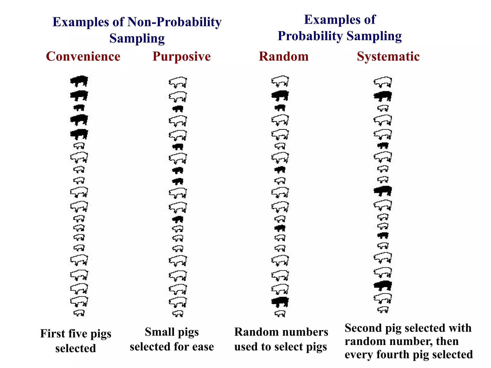 Convenience Purposive Random Systematic
First five pigs
selected
Small pigs
selected for ease
Random numbers
used to select pigs
Second pig selected with
random number, then
every fourth pig selected
Examples of Non-Probability
Sampling
Examples of
Probability Sampling
 