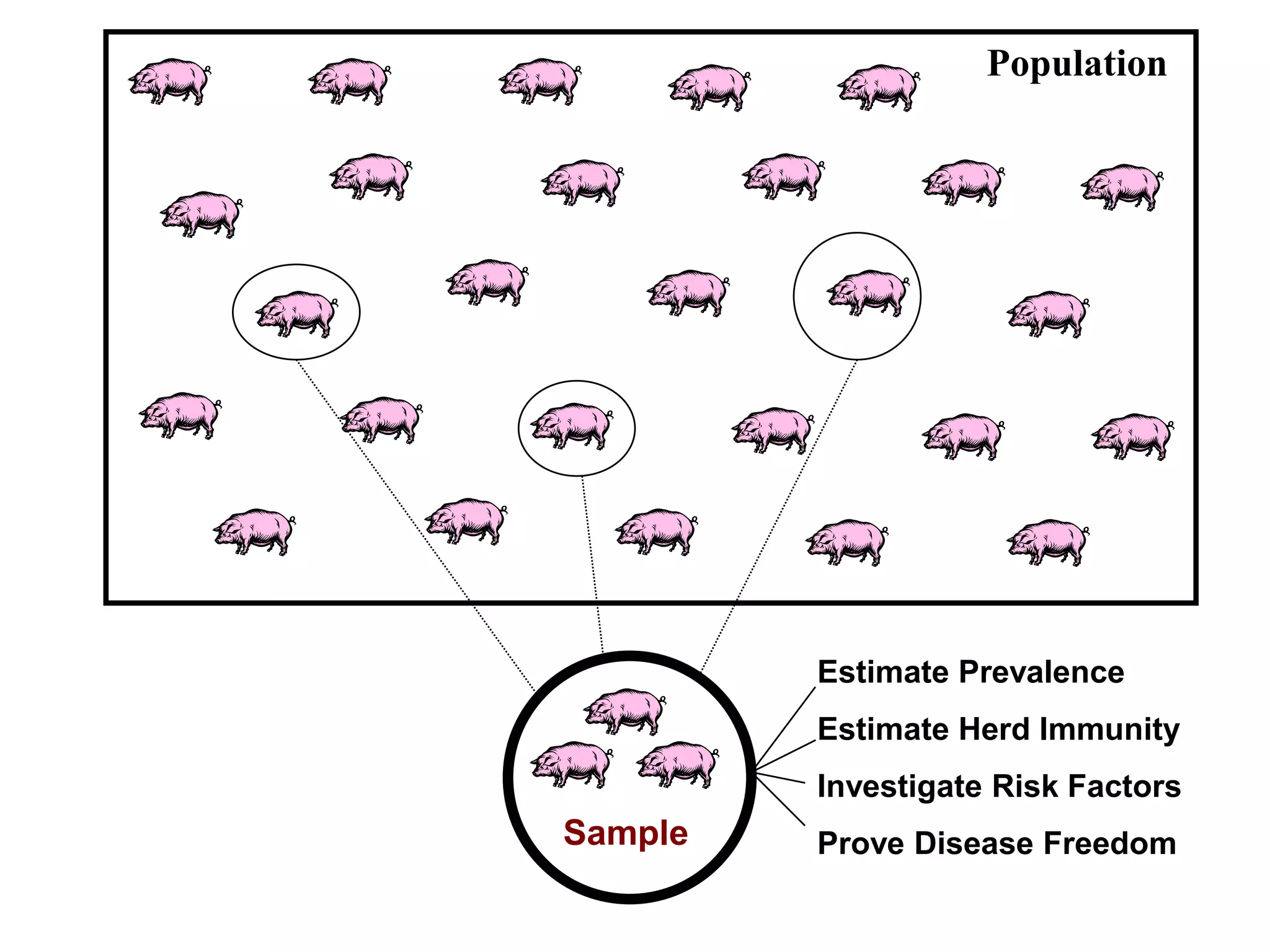 Population
Sample
Estimate Prevalence
Estimate Herd Immunity
Investigate Risk Factors
Prove Disease Freedom
 