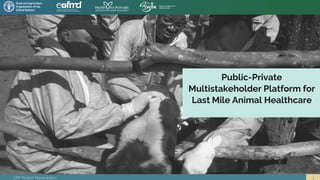 VPP Project Presentation
Public-Private
Multistakeholder Platform for
Last Mile Animal Healthcare
 