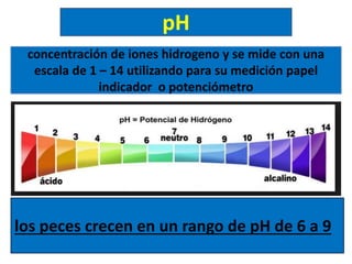 pH
concentración de iones hidrogeno y se mide con una
escala de 1 – 14 utilizando para su medición papel
indicador o poten...