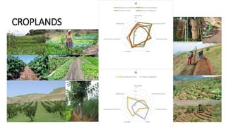 Sustainable land management to mitigate and adapt to climate change | PPTX