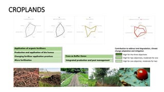 Sustainable land management to mitigate and adapt to climate change | PPTX