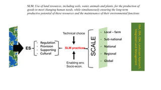 5
SLM practices
- Regulation
- Provision
- Supporting
- Cultural
ES
- Local – farm
- Sub-national
- National
- Regional
- Global
SLM: Use of land resources, including soils, water, animals and plants, for the production of
goods to meet changing human needs, while simultaneously ensuring the long-term
productive potential of these resources and the maintenance of their environmental functions
SCALE
EbA,EBA,CBA,LandscapeApproach,
IntegratedLandManagement
Enabling env.
Socio-econ.
Technical choice
 