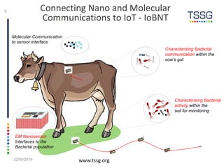 Connecting Nano and Molecular
Communications to IoT - IoBNT
22/05/2019 www.tssg.org
9
Characterizing Bacterial
communication within the
cow’s gut
Characterizing Bacterial
activity within the
soil for monitoring
Molecular Communication
to sensor interface
EM Nanosensor
Interfaces to the
Bacterial population
 
