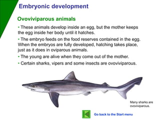 Oviparous Development Sexual Reproduction on Animals | PPT
