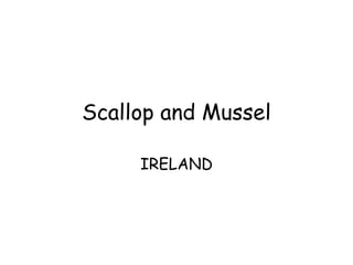 Scallop and Mussel IRELAND 