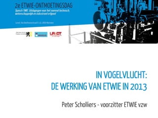 IN VOGELVLUCHT:
DE WERKING VAN ETWIE IN 2013
Peter Scholliers - voorzitter ETWIE vzw

 