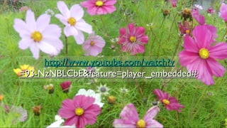 http://www.youtube.com/watch?vhttp://www.youtube.com/watch?v
=93-NzNBLCbE&feature=player_embedded#=93-NzNBLCbE&feature=player_embedded#!!
 