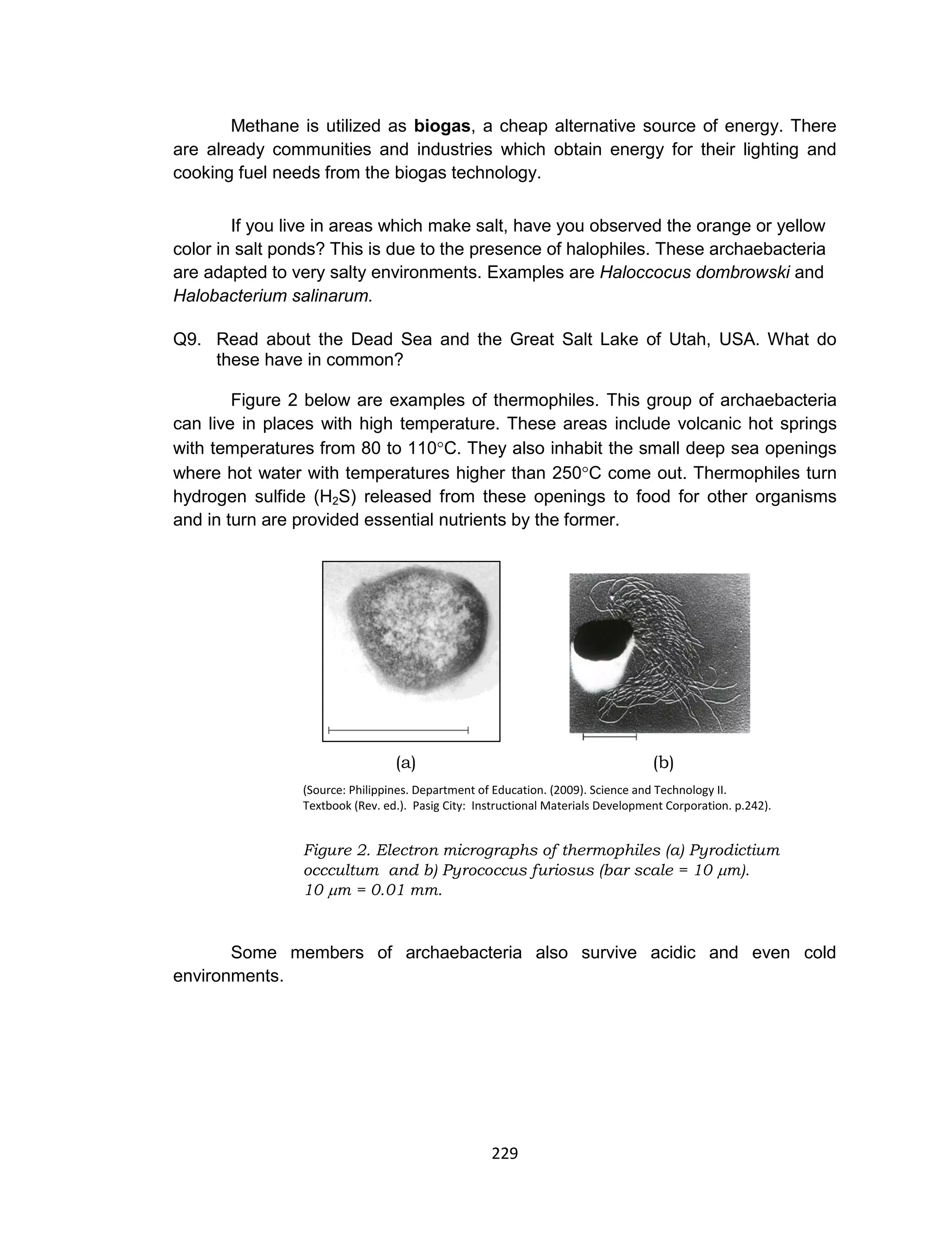 229
Methane is utilized as biogas, a cheap alternative source of energy. There
are already communities and industries which obtain energy for their lighting and
cooking fuel needs from the biogas technology.
If you live in areas which make salt, have you observed the orange or yellow
color in salt ponds? This is due to the presence of halophiles. These archaebacteria
are adapted to very salty environments. Examples are Haloccocus dombrowski and
Halobacterium salinarum.
Q9. Read about the Dead Sea and the Great Salt Lake of Utah, USA. What do
these have in common?
Figure 2 below are examples of thermophiles. This group of archaebacteria
can live in places with high temperature. These areas include volcanic hot springs
with temperatures from 80 to 110C. They also inhabit the small deep sea openings
where hot water with temperatures higher than 250C come out. Thermophiles turn
hydrogen sulfide (H2S) released from these openings to food for other organisms
and in turn are provided essential nutrients by the former.
(a) (b)
(Source: Philippines. Department of Education. (2009). Science and Technology II.
Textbook (Rev. ed.). Pasig City: Instructional Materials Development Corporation. p.242).
Figure 2. Electron micrographs of thermophiles (a) Pyrodictium
occcultum and b) Pyrococcus furiosus (bar scale = 10 m).
10 m = 0.01 mm.
Some members of archaebacteria also survive acidic and even cold
environments.
 