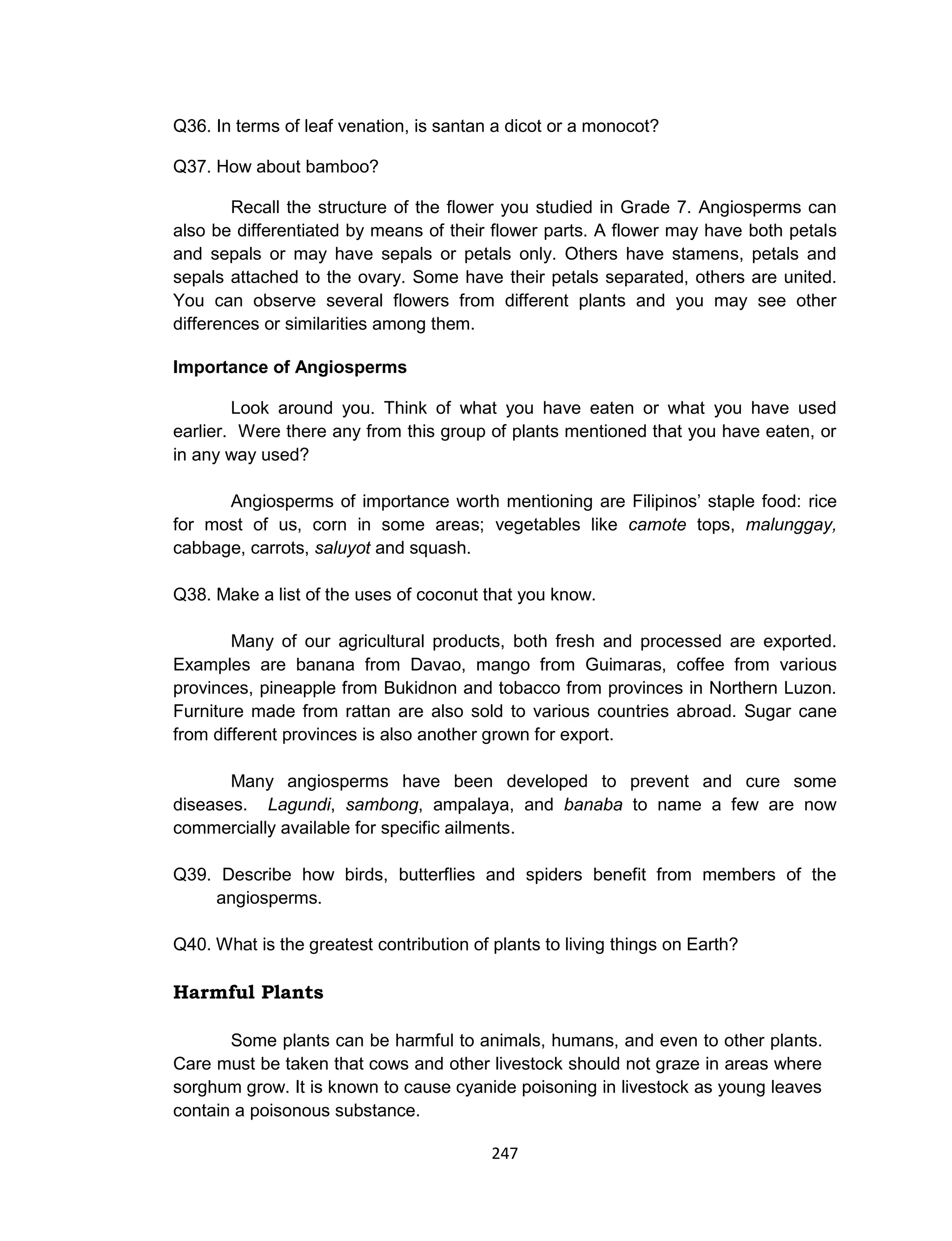 247
Q36. In terms of leaf venation, is santan a dicot or a monocot?
Q37. How about bamboo?
Recall the structure of the flower you studied in Grade 7. Angiosperms can
also be differentiated by means of their flower parts. A flower may have both petals
and sepals or may have sepals or petals only. Others have stamens, petals and
sepals attached to the ovary. Some have their petals separated, others are united.
You can observe several flowers from different plants and you may see other
differences or similarities among them.
Importance of Angiosperms
Look around you. Think of what you have eaten or what you have used
earlier. Were there any from this group of plants mentioned that you have eaten, or
in any way used?
Angiosperms of importance worth mentioning are Filipinos’ staple food: rice
for most of us, corn in some areas; vegetables like camote tops, malunggay,
cabbage, carrots, saluyot and squash.
Q38. Make a list of the uses of coconut that you know.
Many of our agricultural products, both fresh and processed are exported.
Examples are banana from Davao, mango from Guimaras, coffee from various
provinces, pineapple from Bukidnon and tobacco from provinces in Northern Luzon.
Furniture made from rattan are also sold to various countries abroad. Sugar cane
from different provinces is also another grown for export.
Many angiosperms have been developed to prevent and cure some
diseases. Lagundi, sambong, ampalaya, and banaba to name a few are now
commercially available for specific ailments.
Q39. Describe how birds, butterflies and spiders benefit from members of the
angiosperms.
Q40. What is the greatest contribution of plants to living things on Earth?
Harmful Plants
Some plants can be harmful to animals, humans, and even to other plants.
Care must be taken that cows and other livestock should not graze in areas where
sorghum grow. It is known to cause cyanide poisoning in livestock as young leaves
contain a poisonous substance.
 