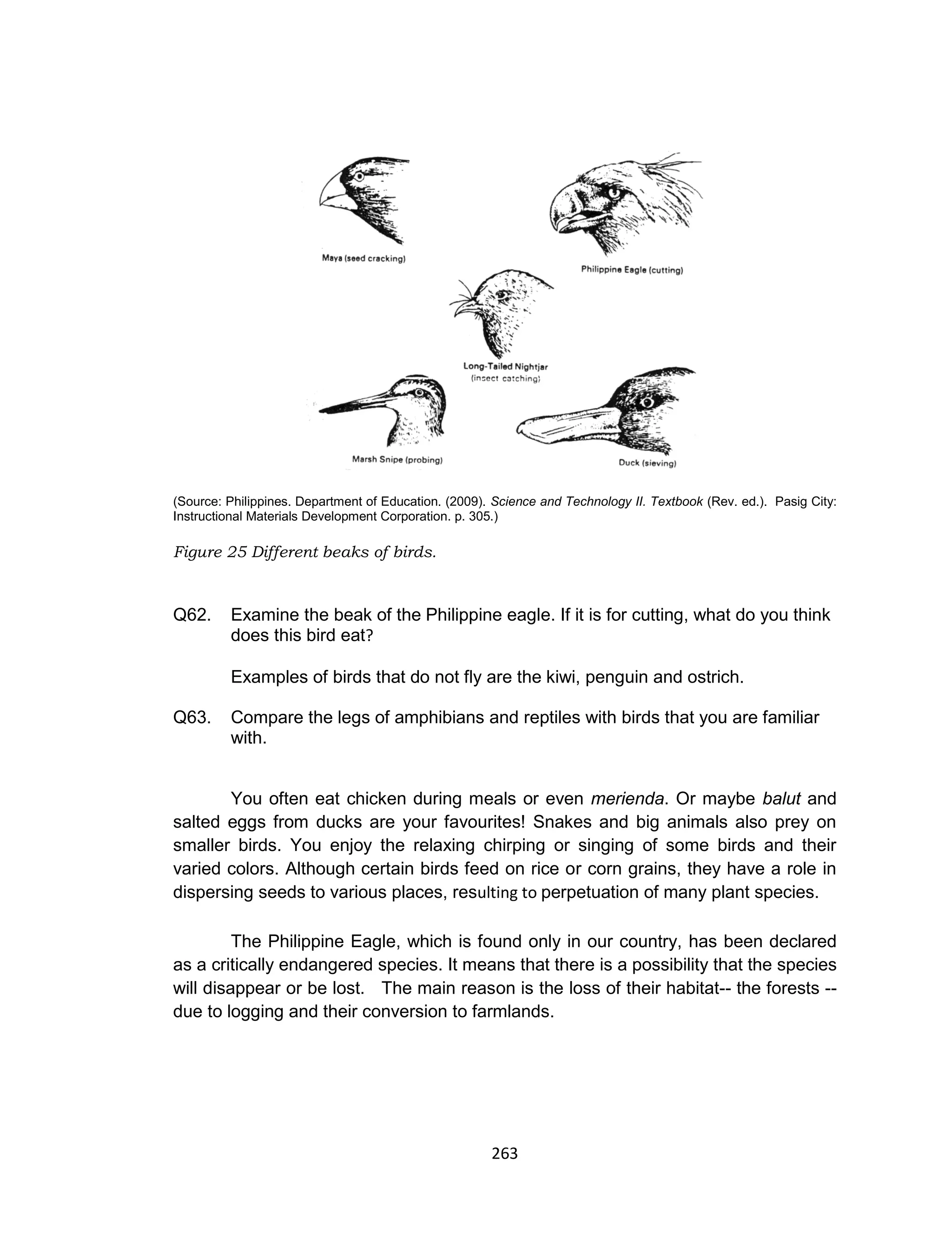 263
(Source: Philippines. Department of Education. (2009). Science and Technology II. Textbook (Rev. ed.). Pasig City:
Instructional Materials Development Corporation. p. 305.)
Figure 25 Different beaks of birds.
Q62. Examine the beak of the Philippine eagle. If it is for cutting, what do you think
does this bird eat?
Examples of birds that do not fly are the kiwi, penguin and ostrich.
Q63. Compare the legs of amphibians and reptiles with birds that you are familiar
with.
You often eat chicken during meals or even merienda. Or maybe balut and
salted eggs from ducks are your favourites! Snakes and big animals also prey on
smaller birds. You enjoy the relaxing chirping or singing of some birds and their
varied colors. Although certain birds feed on rice or corn grains, they have a role in
dispersing seeds to various places, resulting to perpetuation of many plant species.
The Philippine Eagle, which is found only in our country, has been declared
as a critically endangered species. It means that there is a possibility that the species
will disappear or be lost. The main reason is the loss of their habitat-- the forests --
due to logging and their conversion to farmlands.
 