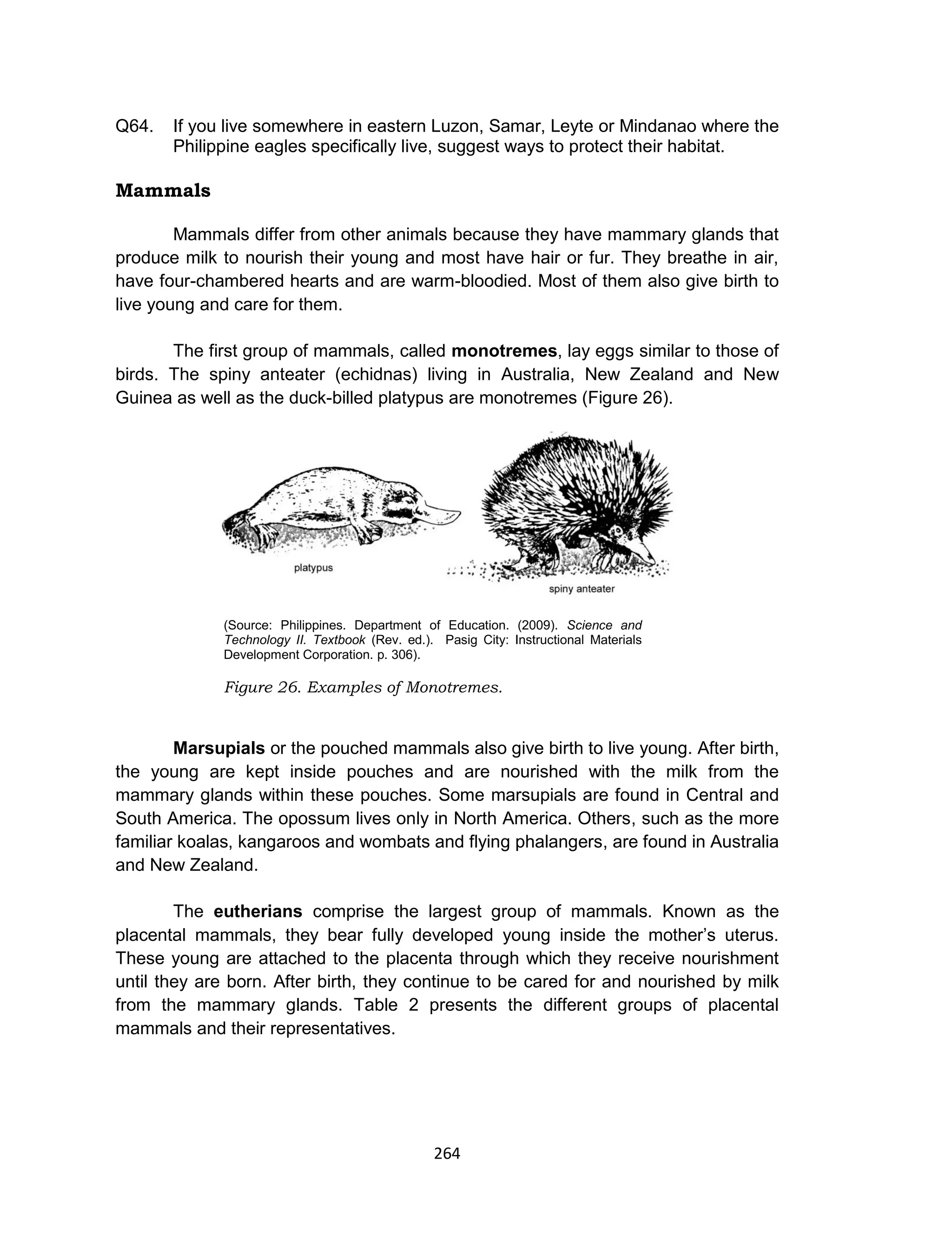 264
Q64. If you live somewhere in eastern Luzon, Samar, Leyte or Mindanao where the
Philippine eagles specifically live, suggest ways to protect their habitat.
Mammals
Mammals differ from other animals because they have mammary glands that
produce milk to nourish their young and most have hair or fur. They breathe in air,
have four-chambered hearts and are warm-bloodied. Most of them also give birth to
live young and care for them.
The first group of mammals, called monotremes, lay eggs similar to those of
birds. The spiny anteater (echidnas) living in Australia, New Zealand and New
Guinea as well as the duck-billed platypus are monotremes (Figure 26).
(Source: Philippines. Department of Education. (2009). Science and
Technology II. Textbook (Rev. ed.). Pasig City: Instructional Materials
Development Corporation. p. 306).
Figure 26. Examples of Monotremes.
Marsupials or the pouched mammals also give birth to live young. After birth,
the young are kept inside pouches and are nourished with the milk from the
mammary glands within these pouches. Some marsupials are found in Central and
South America. The opossum lives only in North America. Others, such as the more
familiar koalas, kangaroos and wombats and flying phalangers, are found in Australia
and New Zealand.
The eutherians comprise the largest group of mammals. Known as the
placental mammals, they bear fully developed young inside the mother’s uterus.
These young are attached to the placenta through which they receive nourishment
until they are born. After birth, they continue to be cared for and nourished by milk
from the mammary glands. Table 2 presents the different groups of placental
mammals and their representatives.
 