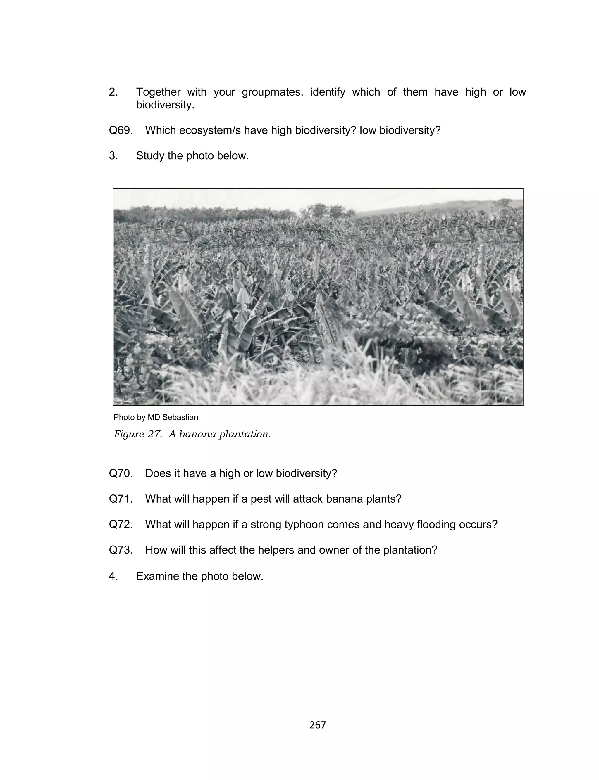 267
2. Together with your groupmates, identify which of them have high or low
biodiversity.
Q69. Which ecosystem/s have high biodiversity? low biodiversity?
3. Study the photo below.
Photo by MD Sebastian
Figure 27. A banana plantation.
Q70. Does it have a high or low biodiversity?
Q71. What will happen if a pest will attack banana plants?
Q72. What will happen if a strong typhoon comes and heavy flooding occurs?
Q73. How will this affect the helpers and owner of the plantation?
4. Examine the photo below.
 