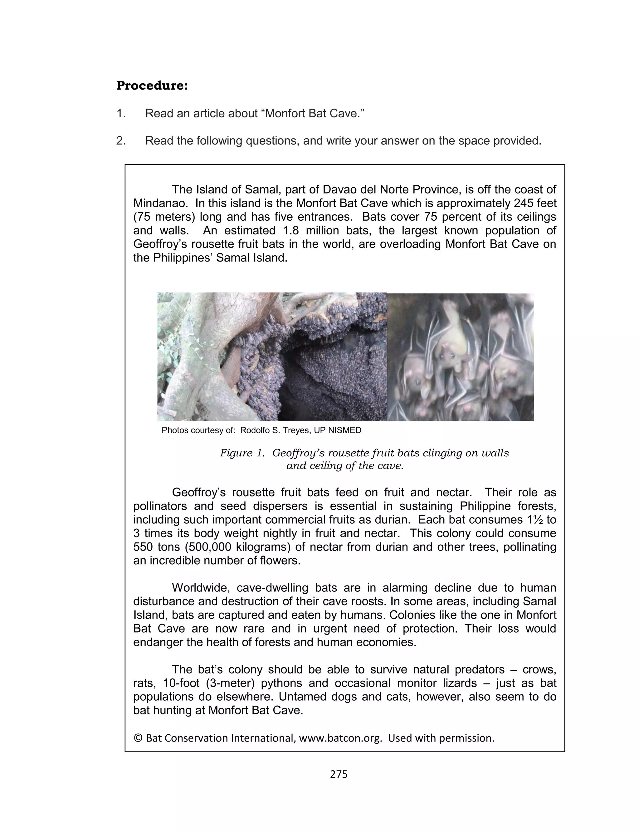 275
Procedure:
1. Read an article about “Monfort Bat Cave.”
2. Read the following questions, and write your answer on the space provided.
Photo: Courtesy of Rodolfo S. Treyes, UP NISMED
The Island of Samal, part of Davao del Norte Province, is off the coast of
Mindanao. In this island is the Monfort Bat Cave which is approximately 245 feet
(75 meters) long and has five entrances. Bats cover 75 percent of its ceilings
and walls. An estimated 1.8 million bats, the largest known population of
Geoffroy’s rousette fruit bats in the world, are overloading Monfort Bat Cave on
the Philippines’ Samal Island.
Figure 1. Geoffroy’s rousette fruit bats clinging on walls
and ceiling of the cave.
Geoffroy’s rousette fruit bats feed on fruit and nectar. Their role as
pollinators and seed dispersers is essential in sustaining Philippine forests,
including such important commercial fruits as durian. Each bat consumes 1½ to
3 times its body weight nightly in fruit and nectar. This colony could consume
550 tons (500,000 kilograms) of nectar from durian and other trees, pollinating
an incredible number of flowers.
Worldwide, cave-dwelling bats are in alarming decline due to human
disturbance and destruction of their cave roosts. In some areas, including Samal
Island, bats are captured and eaten by humans. Colonies like the one in Monfort
Bat Cave are now rare and in urgent need of protection. Their loss would
endanger the health of forests and human economies.
The bat’s colony should be able to survive natural predators – crows,
rats, 10-foot (3-meter) pythons and occasional monitor lizards – just as bat
populations do elsewhere. Untamed dogs and cats, however, also seem to do
bat hunting at Monfort Bat Cave.
© Bat Conservation International, www.batcon.org. Used with permission.
Photos courtesy of: Rodolfo S. Treyes, UP NISMED
 