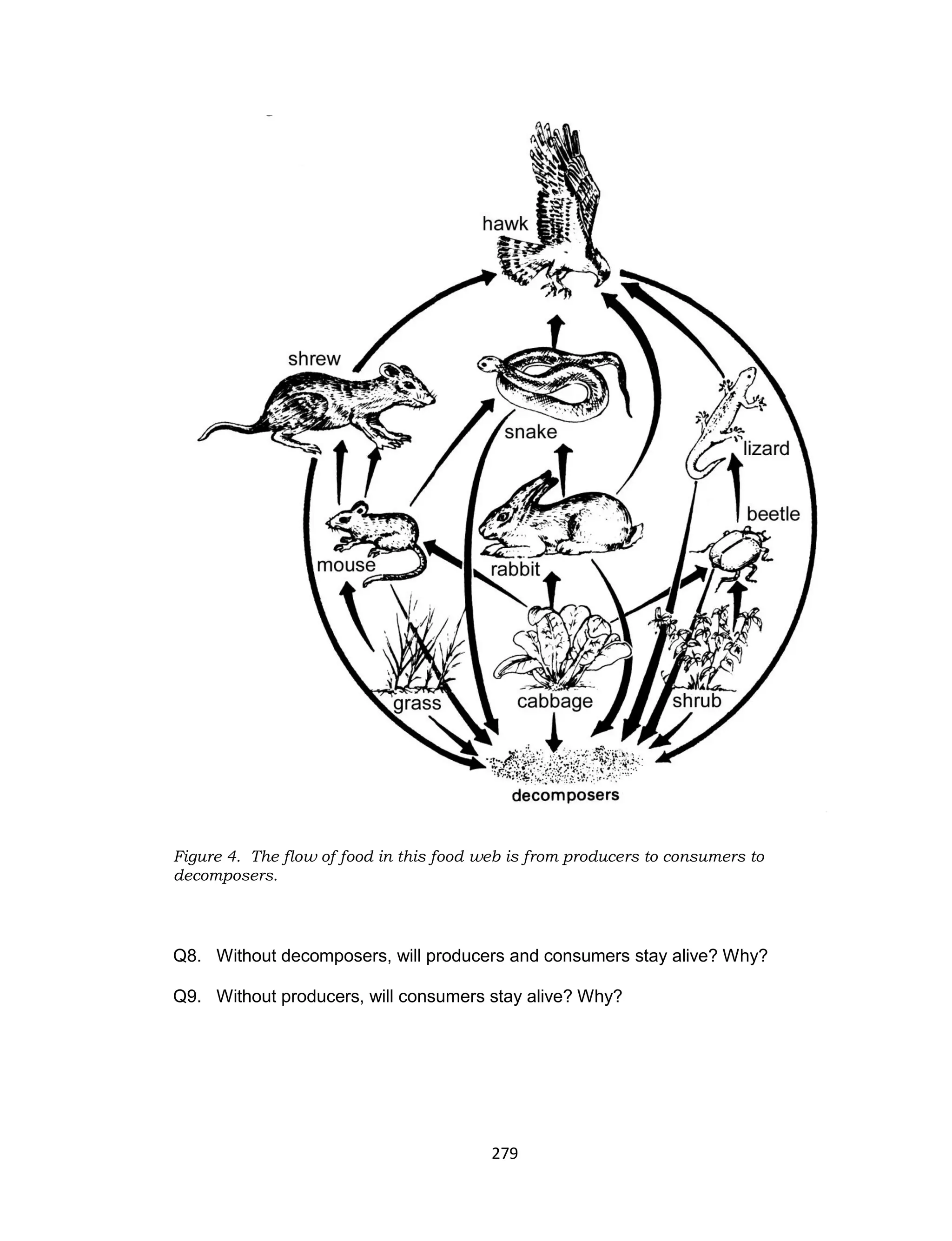 279
Figure 4. The flow of food in this food web is from producers to consumers to
decomposers.
Q8. Without decomposers, will producers and consumers stay alive? Why?
Q9. Without producers, will consumers stay alive? Why?
 