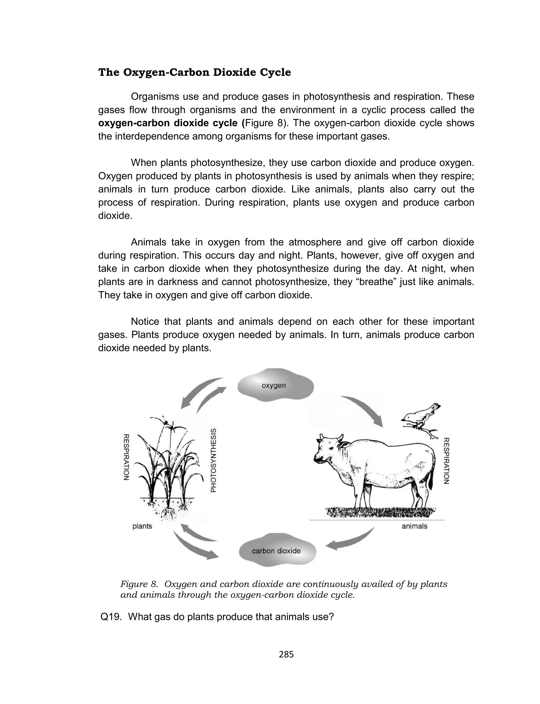 285
The Oxygen-Carbon Dioxide Cycle
Organisms use and produce gases in photosynthesis and respiration. These
gases flow through organisms and the environment in a cyclic process called the
oxygen-carbon dioxide cycle (Figure 8). The oxygen-carbon dioxide cycle shows
the interdependence among organisms for these important gases.
When plants photosynthesize, they use carbon dioxide and produce oxygen.
Oxygen produced by plants in photosynthesis is used by animals when they respire;
animals in turn produce carbon dioxide. Like animals, plants also carry out the
process of respiration. During respiration, plants use oxygen and produce carbon
dioxide.
Animals take in oxygen from the atmosphere and give off carbon dioxide
during respiration. This occurs day and night. Plants, however, give off oxygen and
take in carbon dioxide when they photosynthesize during the day. At night, when
plants are in darkness and cannot photosynthesize, they “breathe” just like animals.
They take in oxygen and give off carbon dioxide.
Notice that plants and animals depend on each other for these important
gases. Plants produce oxygen needed by animals. In turn, animals produce carbon
dioxide needed by plants.
Figure 8. Oxygen and carbon dioxide are continuously availed of by plants
and animals through the oxygen-carbon dioxide cycle.
Q19. What gas do plants produce that animals use?
 
