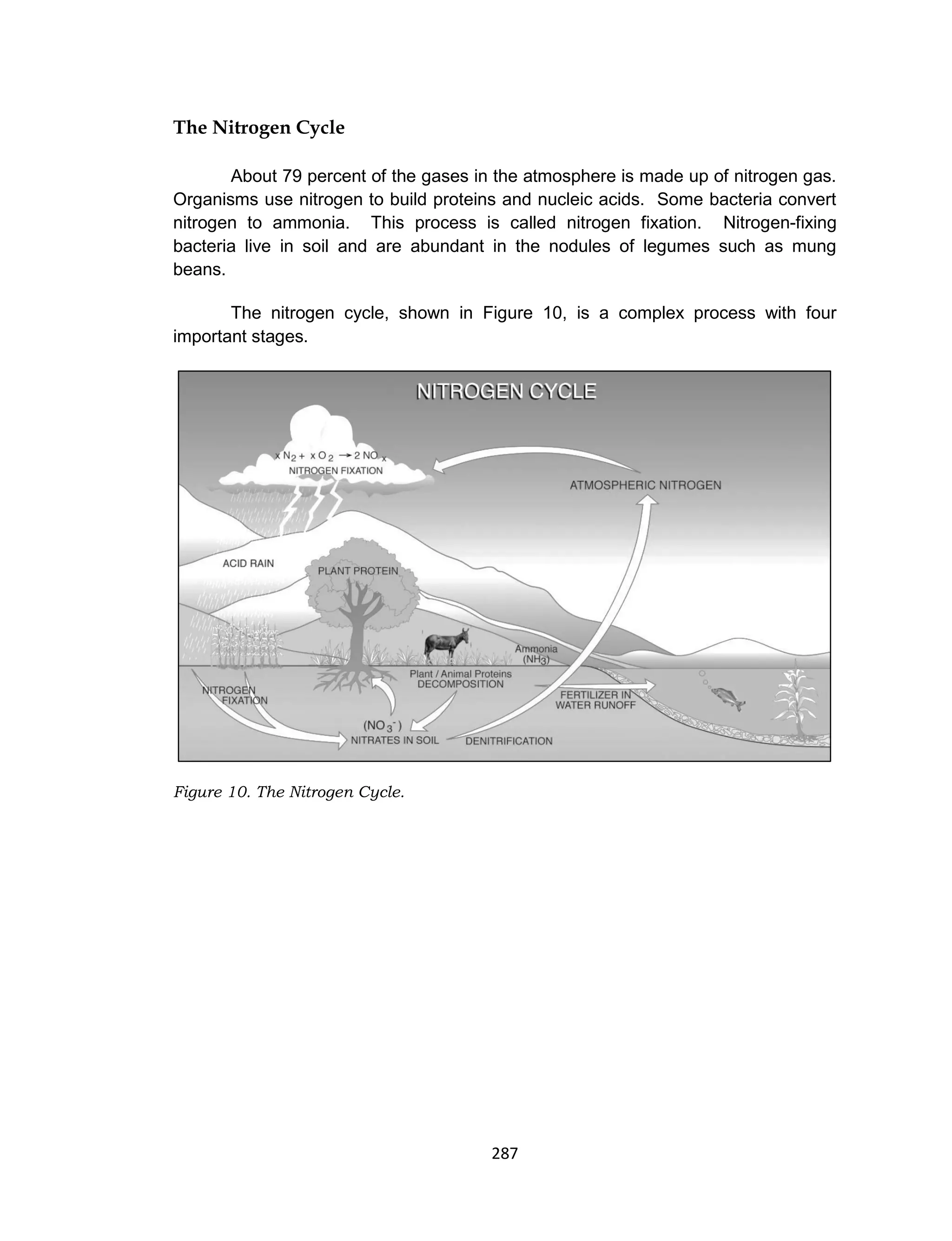 287
The Nitrogen Cycle
About 79 percent of the gases in the atmosphere is made up of nitrogen gas.
Organisms use nitrogen to build proteins and nucleic acids. Some bacteria convert
nitrogen to ammonia. This process is called nitrogen fixation. Nitrogen-fixing
bacteria live in soil and are abundant in the nodules of legumes such as mung
beans.
The nitrogen cycle, shown in Figure 10, is a complex process with four
important stages.
Figure 10. The Nitrogen Cycle.
 