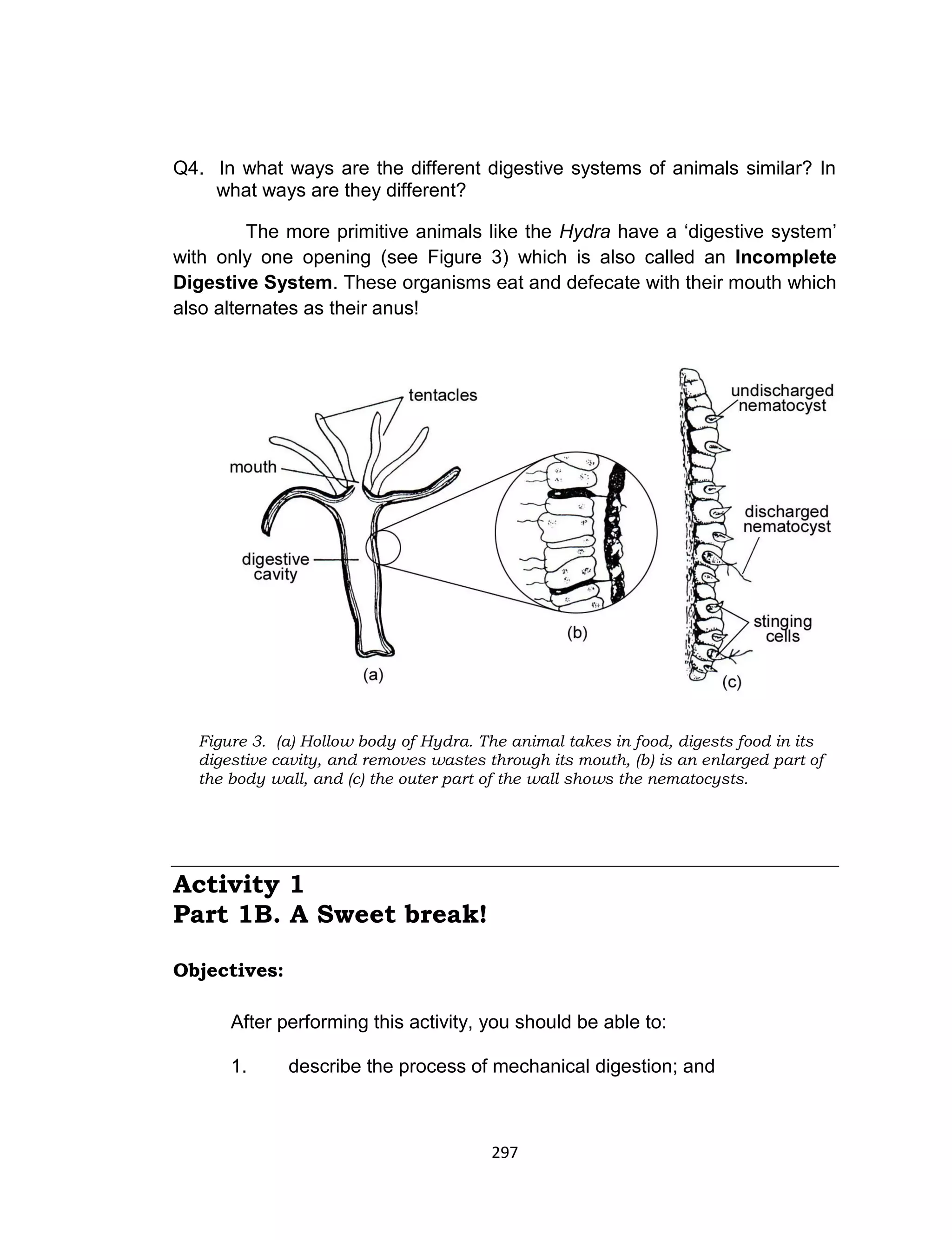 297
Q4. In what ways are the different digestive systems of animals similar? In
what ways are they different?
The more primitive animals like the Hydra have a ‘digestive system’
with only one opening (see Figure 3) which is also called an Incomplete
Digestive System. These organisms eat and defecate with their mouth which
also alternates as their anus!
Activity 1
Part 1B. A Sweet break!
Objectives:
After performing this activity, you should be able to:
1. describe the process of mechanical digestion; and
Figure 3. (a) Hollow body of Hydra. The animal takes in food, digests food in its
digestive cavity, and removes wastes through its mouth, (b) is an enlarged part of
the body wall, and (c) the outer part of the wall shows the nematocysts.
 