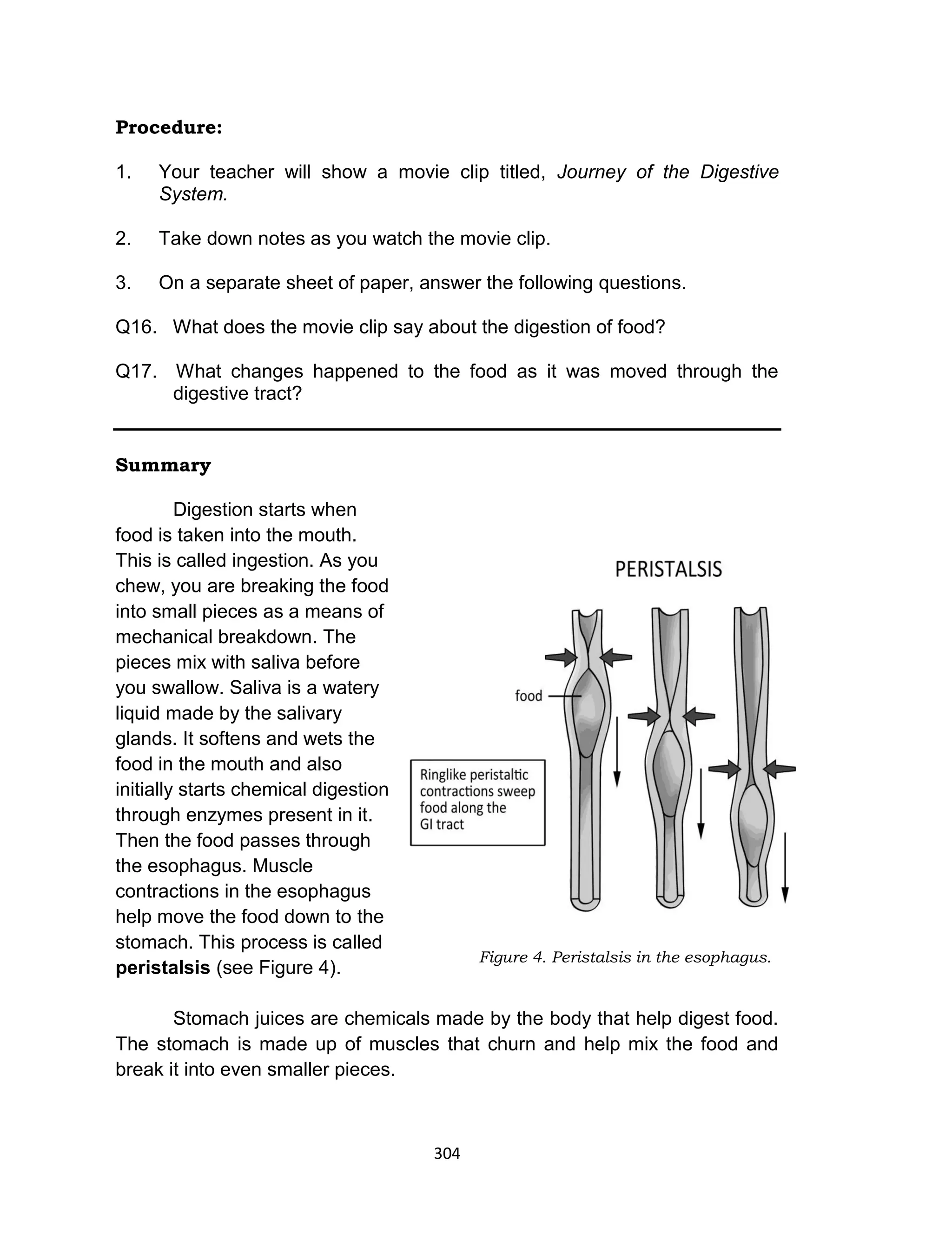 304
Procedure:
1. Your teacher will show a movie clip titled, Journey of the Digestive
System.
2. Take down notes as you watch the movie clip.
3. On a separate sheet of paper, answer the following questions.
Q16. What does the movie clip say about the digestion of food?
Q17. What changes happened to the food as it was moved through the
digestive tract?
Summary
Digestion starts when
food is taken into the mouth.
This is called ingestion. As you
chew, you are breaking the food
into small pieces as a means of
mechanical breakdown. The
pieces mix with saliva before
you swallow. Saliva is a watery
liquid made by the salivary
glands. It softens and wets the
food in the mouth and also
initially starts chemical digestion
through enzymes present in it.
Then the food passes through
the esophagus. Muscle
contractions in the esophagus
help move the food down to the
stomach. This process is called
peristalsis (see Figure 4).
Stomach juices are chemicals made by the body that help digest food.
The stomach is made up of muscles that churn and help mix the food and
break it into even smaller pieces.
Figure 4. Peristalsis in the esophagus.
 