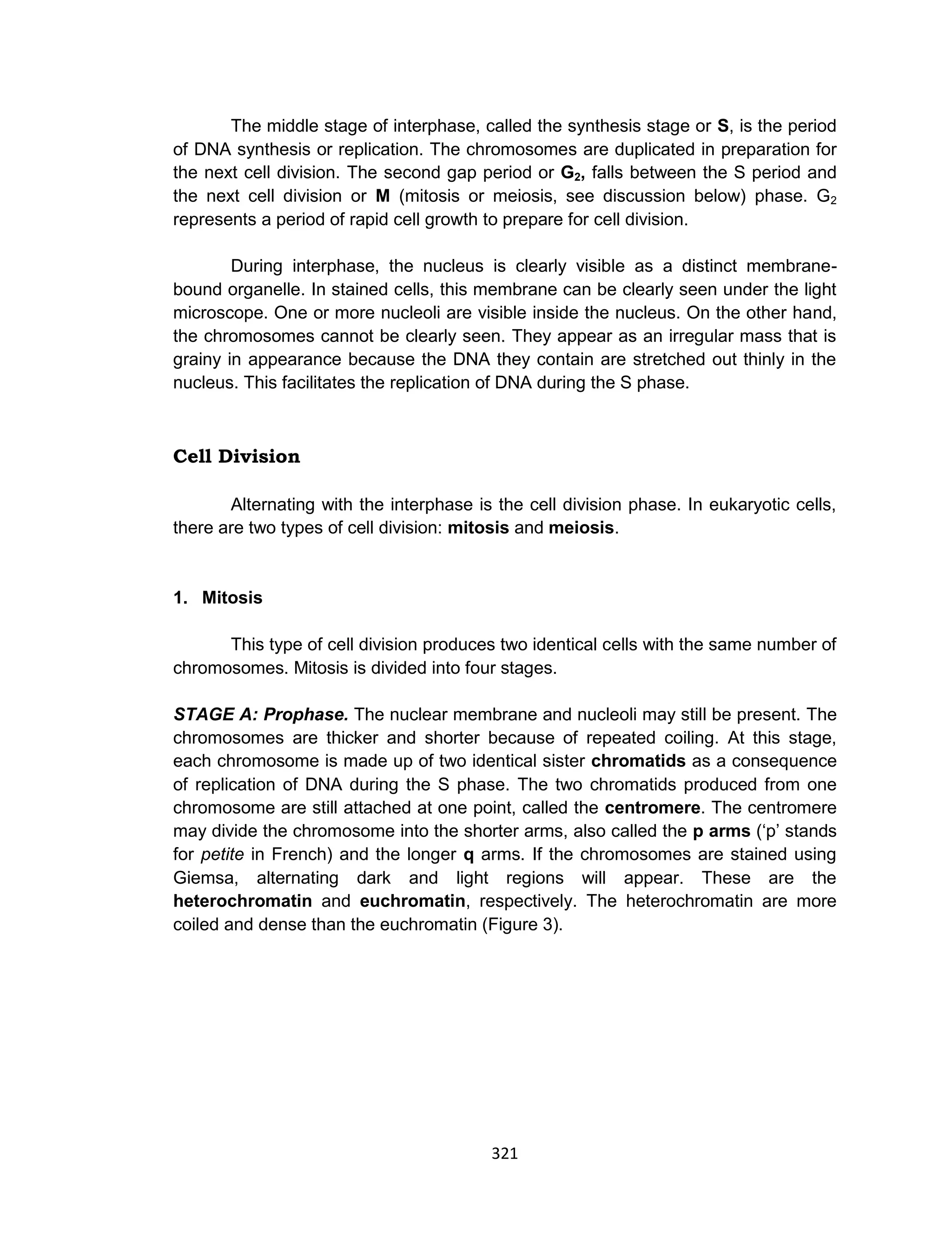 321
The middle stage of interphase, called the synthesis stage or S, is the period
of DNA synthesis or replication. The chromosomes are duplicated in preparation for
the next cell division. The second gap period or G2, falls between the S period and
the next cell division or M (mitosis or meiosis, see discussion below) phase. G2
represents a period of rapid cell growth to prepare for cell division.
During interphase, the nucleus is clearly visible as a distinct membrane-
bound organelle. In stained cells, this membrane can be clearly seen under the light
microscope. One or more nucleoli are visible inside the nucleus. On the other hand,
the chromosomes cannot be clearly seen. They appear as an irregular mass that is
grainy in appearance because the DNA they contain are stretched out thinly in the
nucleus. This facilitates the replication of DNA during the S phase.
Cell Division
Alternating with the interphase is the cell division phase. In eukaryotic cells,
there are two types of cell division: mitosis and meiosis.
1. Mitosis
This type of cell division produces two identical cells with the same number of
chromosomes. Mitosis is divided into four stages.
STAGE A: Prophase. The nuclear membrane and nucleoli may still be present. The
chromosomes are thicker and shorter because of repeated coiling. At this stage,
each chromosome is made up of two identical sister chromatids as a consequence
of replication of DNA during the S phase. The two chromatids produced from one
chromosome are still attached at one point, called the centromere. The centromere
may divide the chromosome into the shorter arms, also called the p arms (‘p’ stands
for petite in French) and the longer q arms. If the chromosomes are stained using
Giemsa, alternating dark and light regions will appear. These are the
heterochromatin and euchromatin, respectively. The heterochromatin are more
coiled and dense than the euchromatin (Figure 3).
 