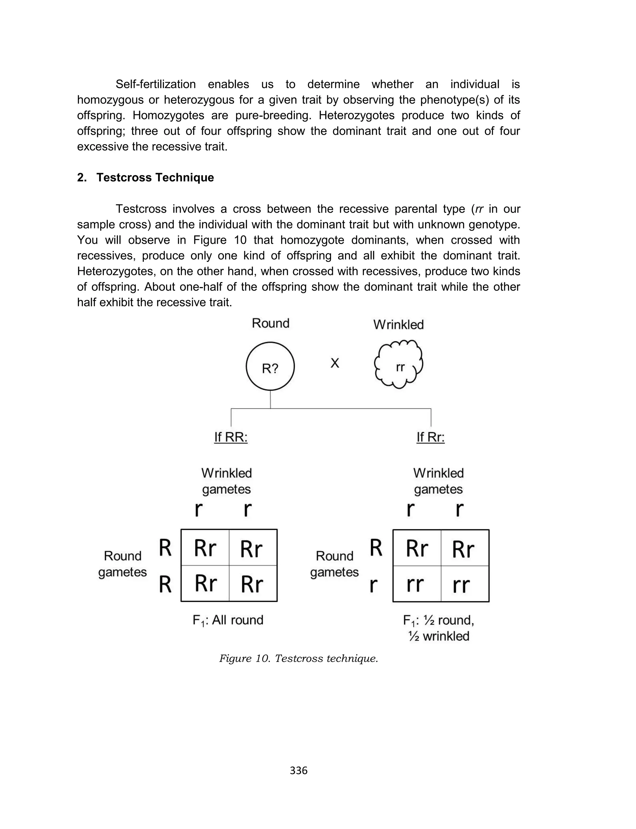 336
Self-fertilization enables us to determine whether an individual is
homozygous or heterozygous for a given trait by observing the phenotype(s) of its
offspring. Homozygotes are pure-breeding. Heterozygotes produce two kinds of
offspring; three out of four offspring show the dominant trait and one out of four
excessive the recessive trait.
2. Testcross Technique
Testcross involves a cross between the recessive parental type (rr in our
sample cross) and the individual with the dominant trait but with unknown genotype.
You will observe in Figure 10 that homozygote dominants, when crossed with
recessives, produce only one kind of offspring and all exhibit the dominant trait.
Heterozygotes, on the other hand, when crossed with recessives, produce two kinds
of offspring. About one-half of the offspring show the dominant trait while the other
half exhibit the recessive trait.
Figure 10. Testcross technique.
 