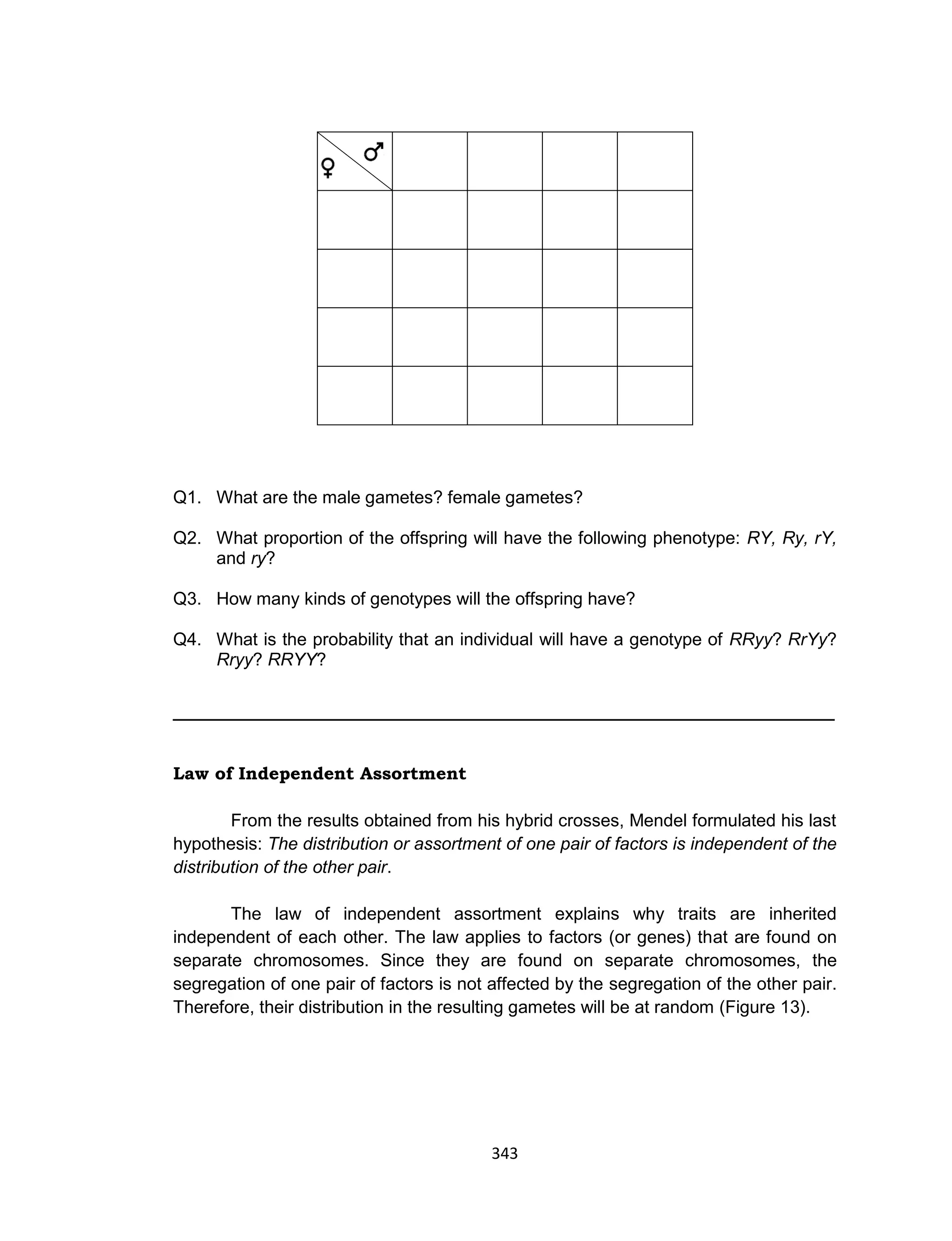 343
Q1. What are the male gametes? female gametes?
Q2. What proportion of the offspring will have the following phenotype: RY, Ry, rY,
and ry?
Q3. How many kinds of genotypes will the offspring have?
Q4. What is the probability that an individual will have a genotype of RRyy? RrYy?
Rryy? RRYY?
_____________________________________________________
Law of Independent Assortment
From the results obtained from his hybrid crosses, Mendel formulated his last
hypothesis: The distribution or assortment of one pair of factors is independent of the
distribution of the other pair.
The law of independent assortment explains why traits are inherited
independent of each other. The law applies to factors (or genes) that are found on
separate chromosomes. Since they are found on separate chromosomes, the
segregation of one pair of factors is not affected by the segregation of the other pair.
Therefore, their distribution in the resulting gametes will be at random (Figure 13).
 